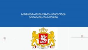 საბაკალავრო საფეხურის სტუდენტთა სახელმწიფო სასწავლო გრანტით დაფინანსება სოციალური პროგრამის ფარგლებში
