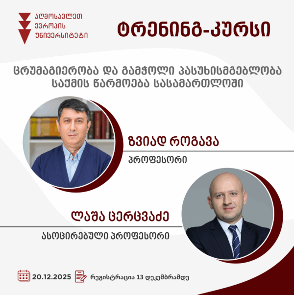 ტრენინგ-კურსი: ცრუმაგიერობა და გამჭოლი პასუხისმგებლობა, საქმის წარმოება სასამართლოში