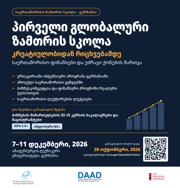 ზამთრის სკოლა გერმანიაში: 1st Global Winter School – From Creativity to Numbers