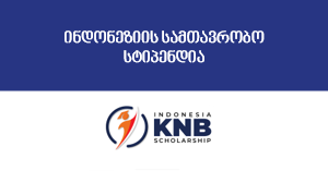ინდონეზიის სამთავრობო სტიპენდია